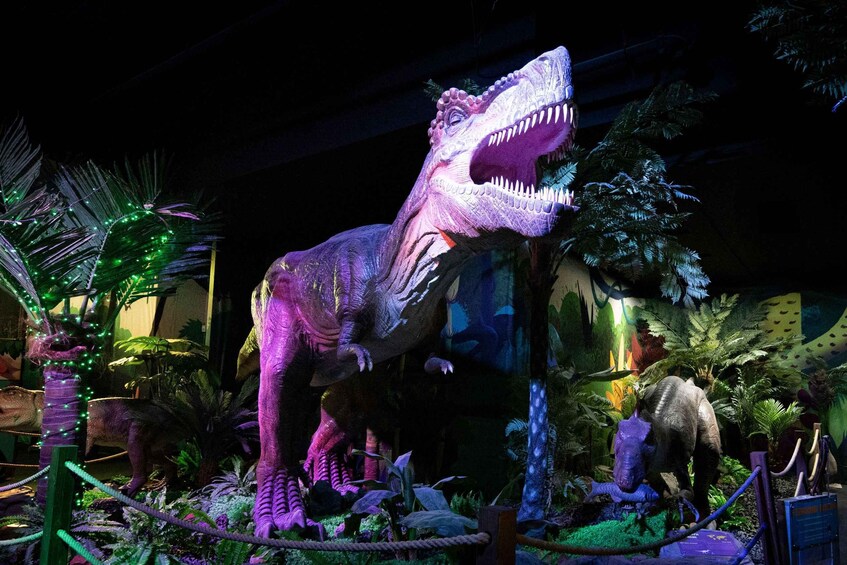 A large dinosaur exhibit with a Tyrannosaurus rex model surrounded by various prehistoric plants and smaller dinosaur models. 3