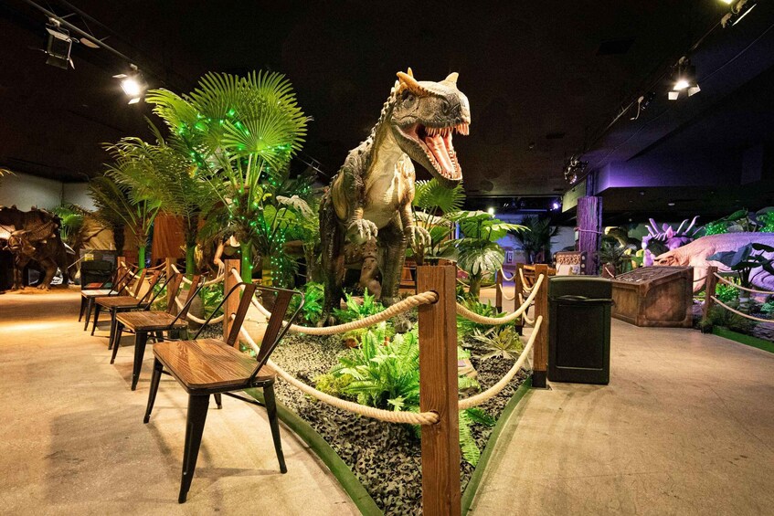 A dinosaur exhibit with chairs and a rope barrier. 1