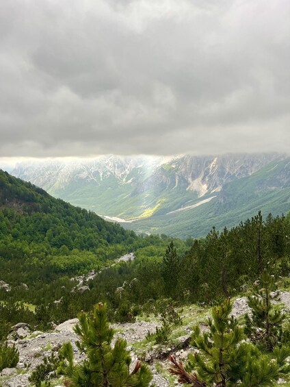 A mountainous landscape with dense forests and a valley. 4