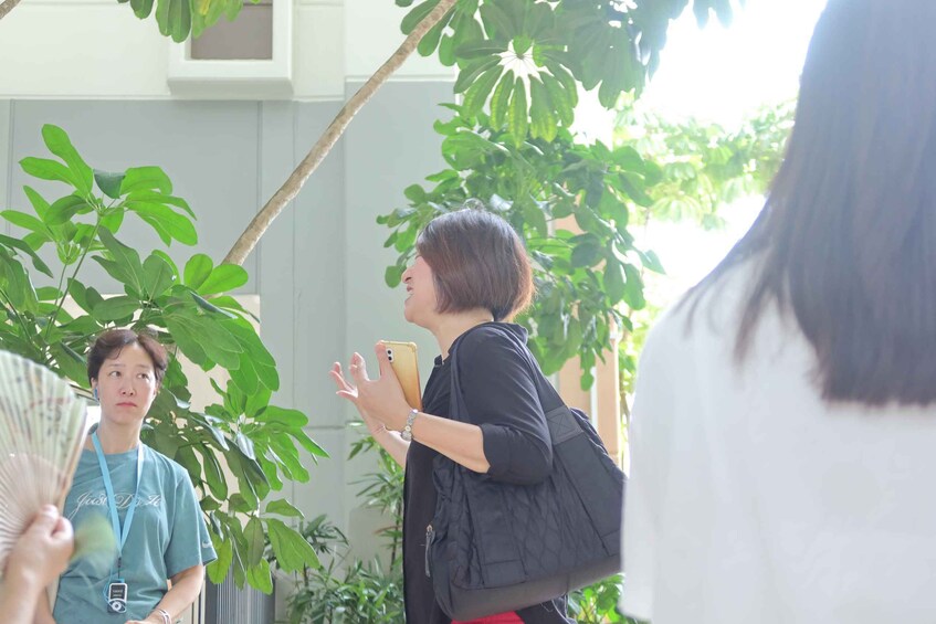 A person holding a fan and a smartphone, standing near a tree. 5