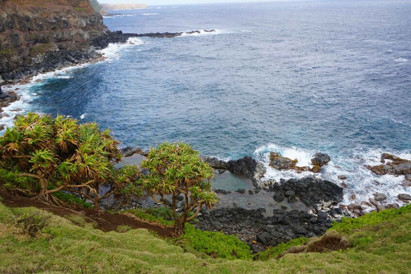 A coastal landscape with rocky shores, waves, and a tree in the foreground. 3