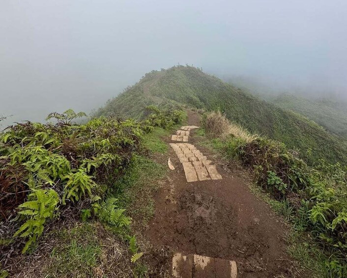 A misty mountain trail with stone steps leading up. 1