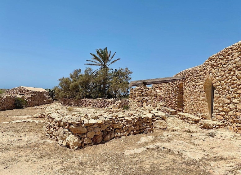 Ancient stone ruins with a palm tree and clear blue sky. 1