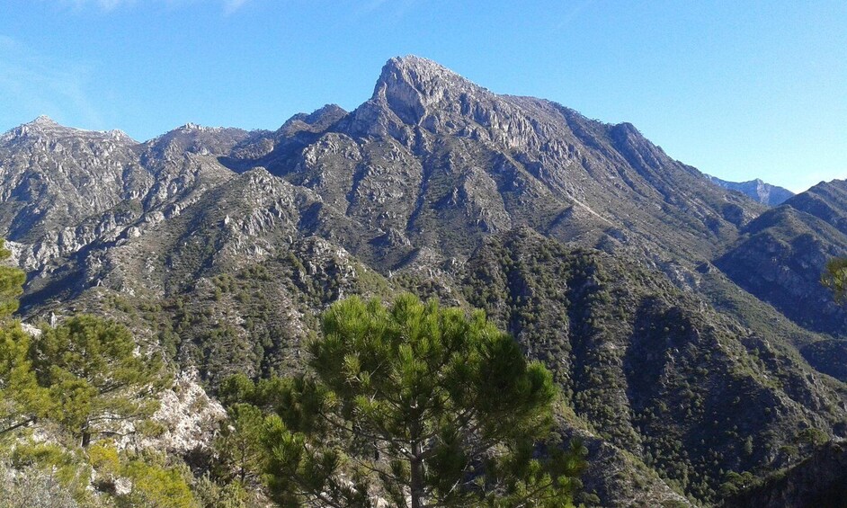 A rugged mountain range with dense pine forests. 4