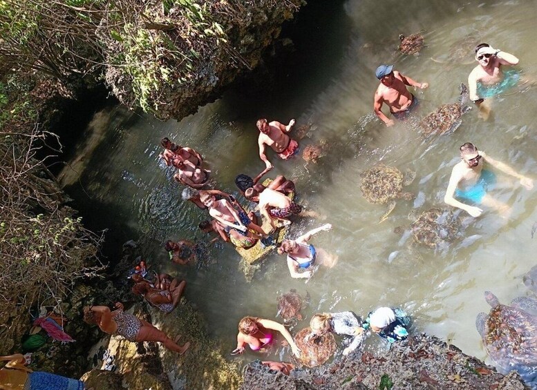 People swimming in a natural water body surrounded by rocks and vegetation. 2