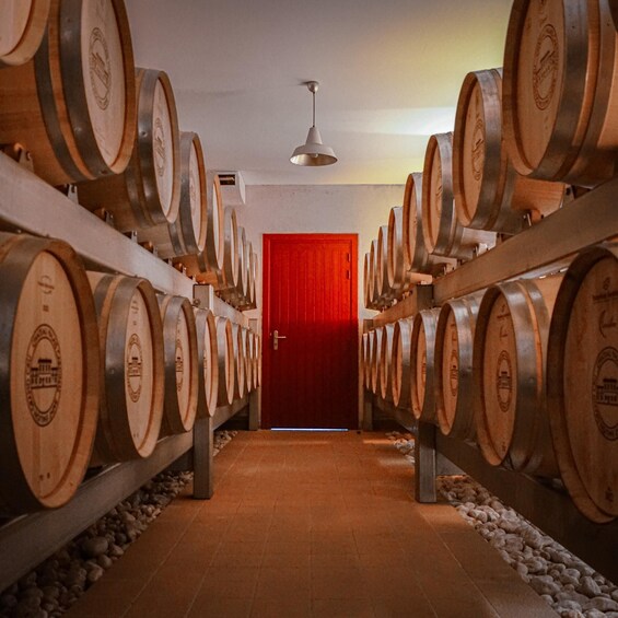 A wine cellar with rows of wooden barrels and a red door at the end. 3