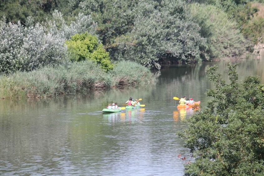 People kayaking on a calm river surrounded by dense greenery. 2
