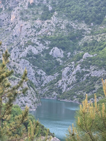A mountainous landscape with a lake and pine trees. 1