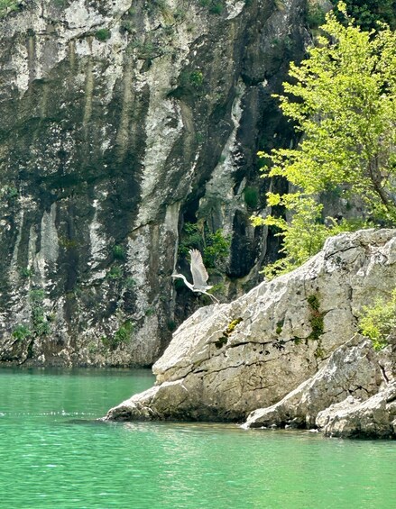 A rocky cliff by a clear greenish lake with a bird in flight. 5