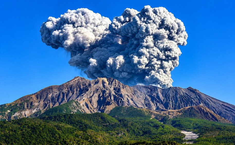 Kagoshima: Private Custom Tour with Local Guide 1
