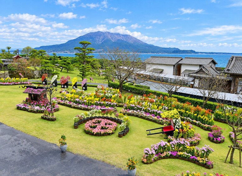 Picture 5 for Activity Kagoshima: Private Custom Tour with Local Guide 3