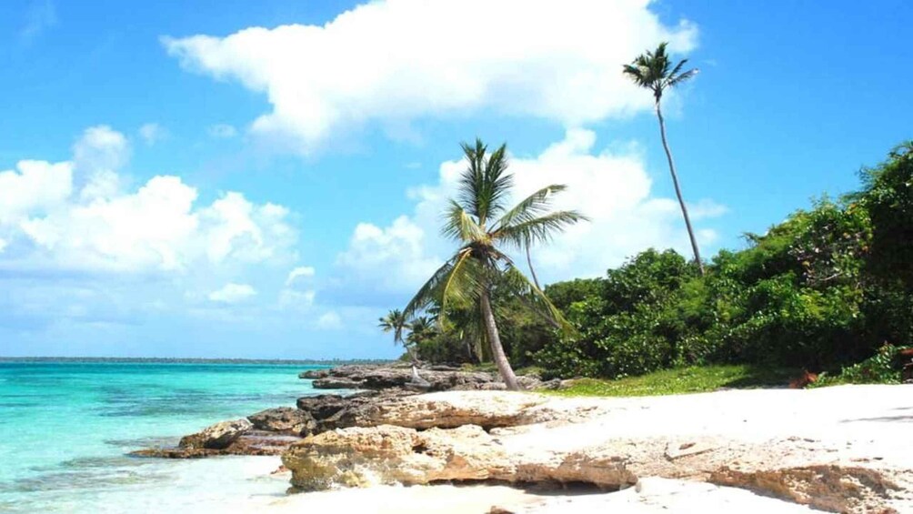 A tropical beach with clear turquoise water, white sand, and palm trees. 2