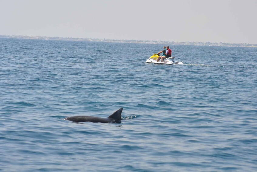 A jet ski with two people on the water, a dolphin swimming nearby, and a distant shoreline. 3