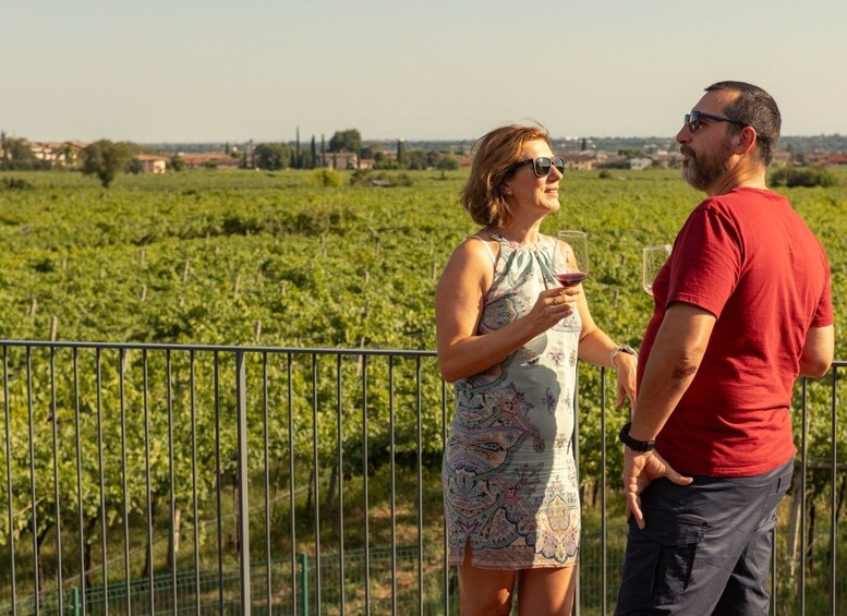 Two people standing by a vineyard fence. 5