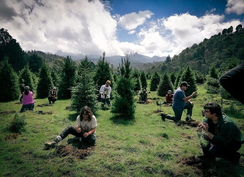 A group of people in a forested area with young trees, possibly engaged in tree planting or forestry work. 5