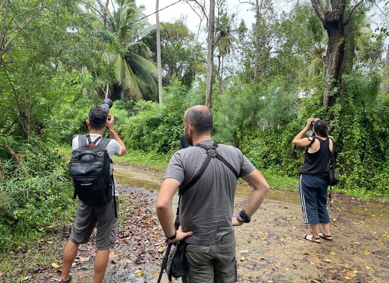 Three people hiking in a forested area with dense vegetation and a muddy path. 1