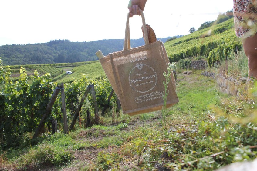 A vineyard with rows of grapevines and a person holding a burlap tote bag with text. 5
