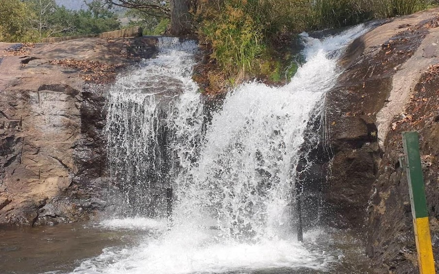 A waterfall cascading over rocks, surrounded by trees and foliage. 5