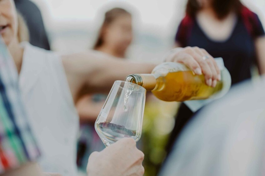 A person pouring a golden liquid into a clear glass. 4