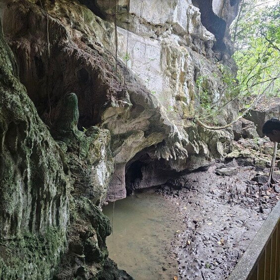 A cave with stalactites and a water pool. 2