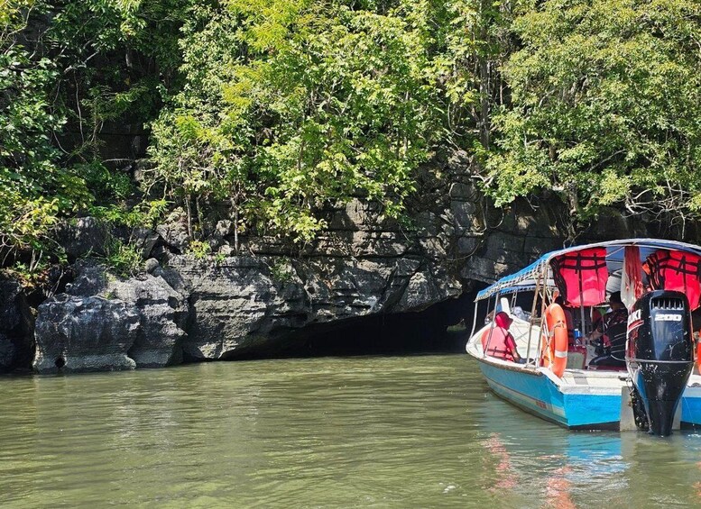 A boat with passengers, a rocky cliff, and dense foliage in the background. 3