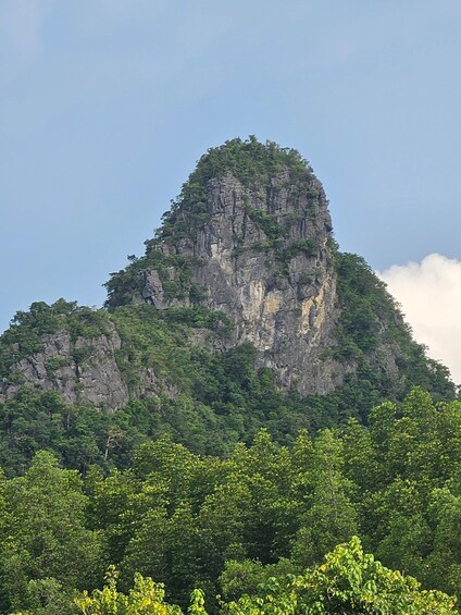 A rugged mountain with dense forest at its base. 4