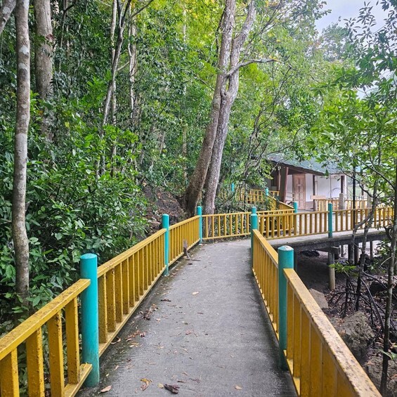 A pathway with yellow railings leading to a small building surrounded by trees. 5