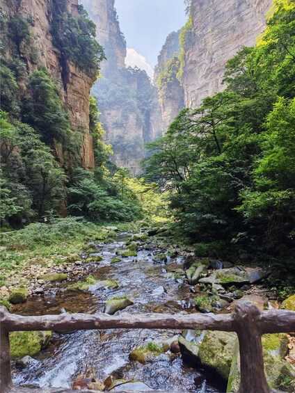 A river flowing through a canyon with rocky terrain and dense green foliage. 3