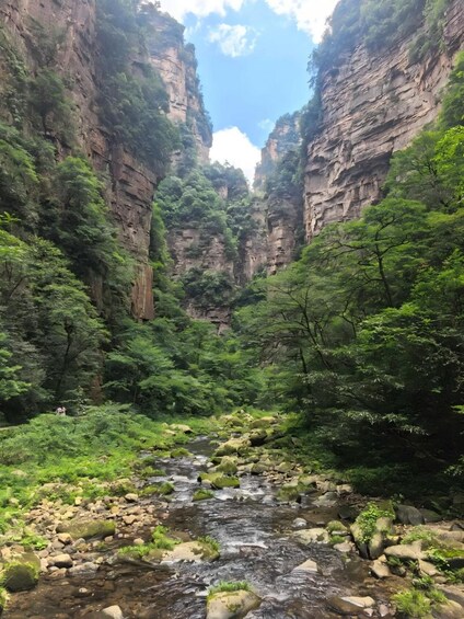 A canyon with a stream flowing through it, surrounded by lush greenery and rocky cliffs. 5