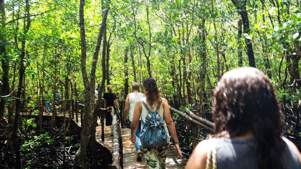 A forested trail with people walking. 1