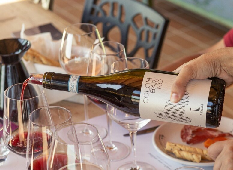 A person pouring wine from a bottle labeled 'Colom Barri No' into a glass. 1