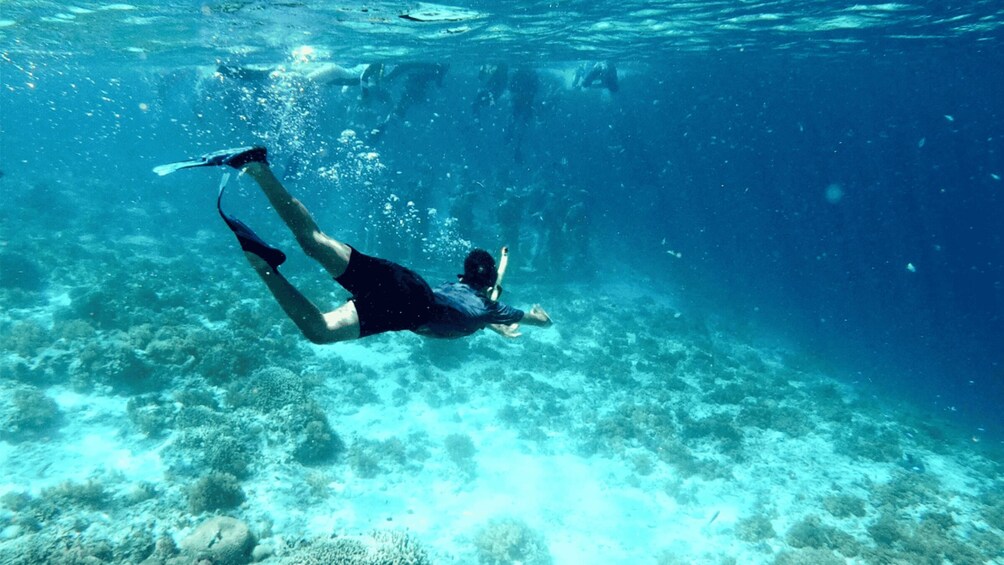 A person swimming underwater. 5
