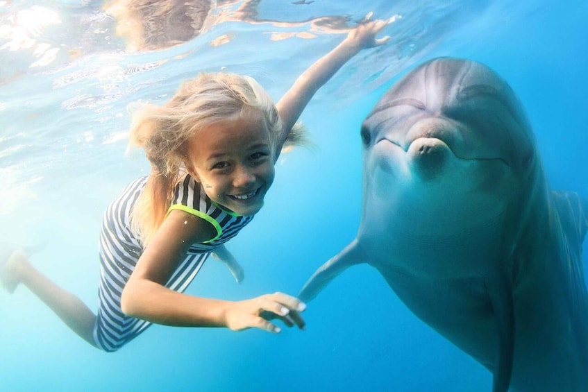 A person swimming underwater with a dolphin. 1