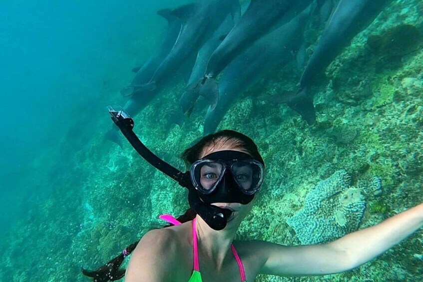 A person snorkeling underwater with a coral reef and fish in the background. 3
