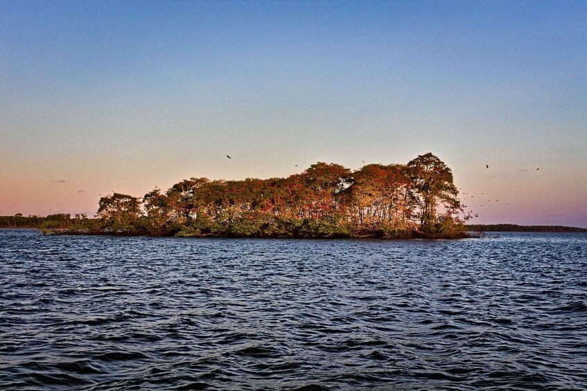 A calm body of water with a small island covered in autumn foliage. 2