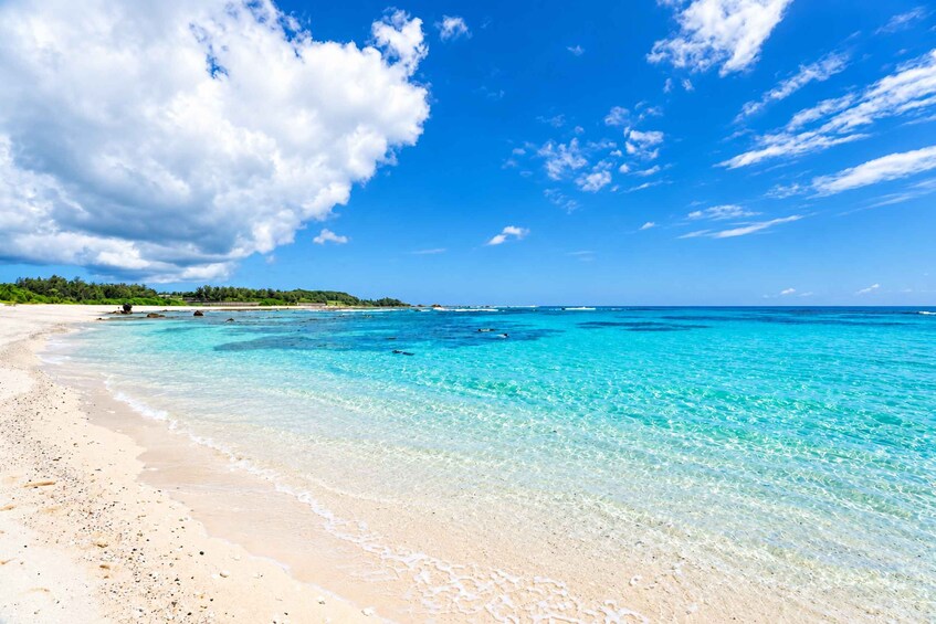 A beach with clear turquoise waters, white sand, and a distant shoreline with greenery. 5