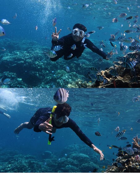 Picture 2 for Activity Cebu: Jet Ski Rental Experience & Snorkeling Activity 2