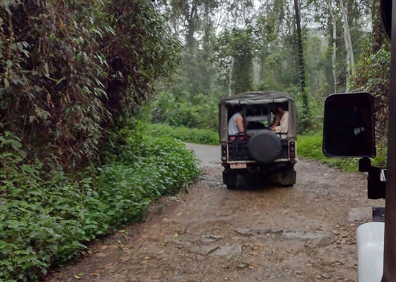 A jeep driving on a dirt road surrounded by dense foliage. 2