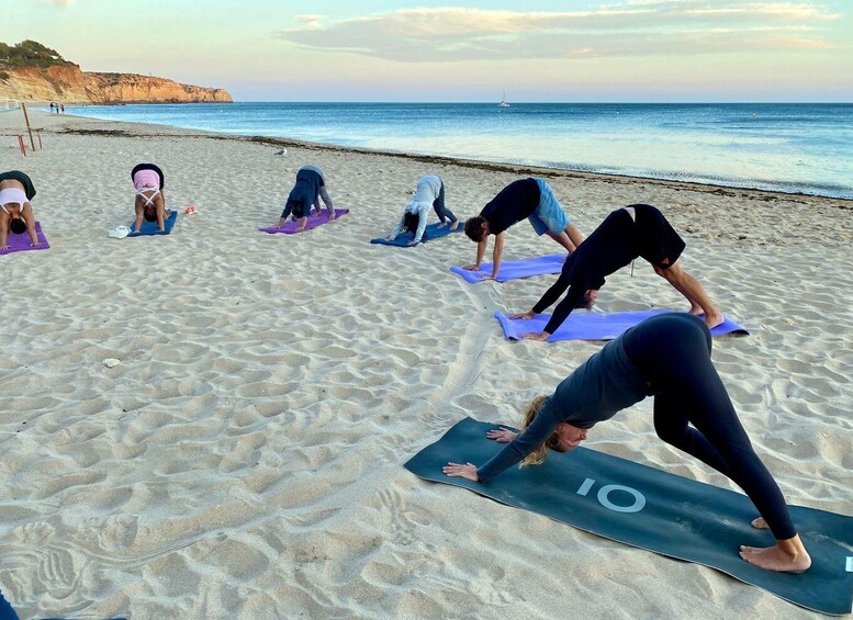 A group of people doing yoga on mats on a beach with the ocean and cliffs in the background. 4