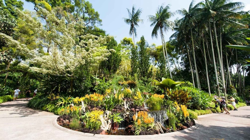 A tropical garden with diverse vegetation, including palm trees and flowering plants. 2