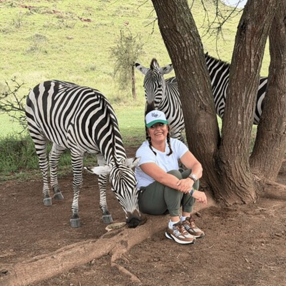 A person sitting under a tree with zebras grazing nearby. 2