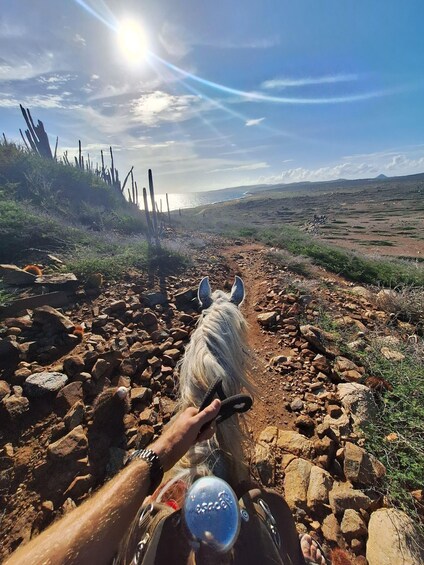 Picture 5 for Activity Aruba:Private 2 Hr Horseback Riding Tour For Advanced Riders 3