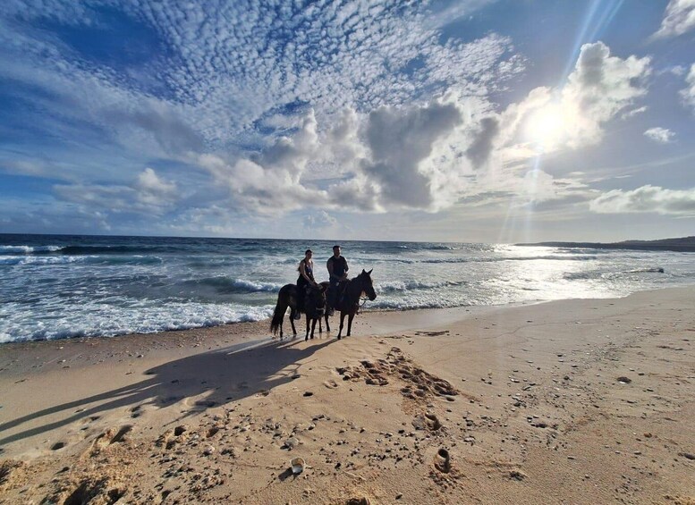 Picture 3 for Activity Aruba:Private 2 Hr Horseback Riding Tour For Advanced Riders 2
