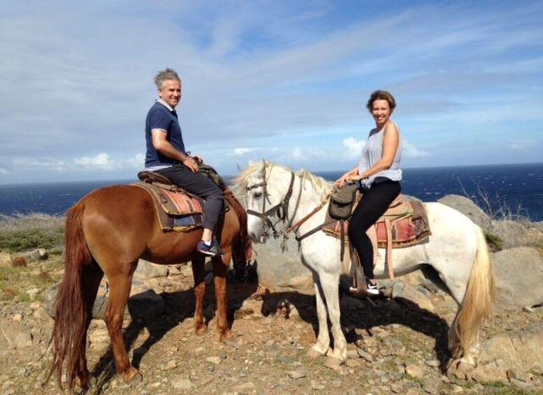 Picture 8 for Activity Aruba:Private 2 Hr Horseback Riding Tour For Advanced Riders 5