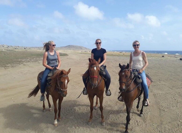 Three people riding horses on a dirt path with a beach and mountains in the background. 5