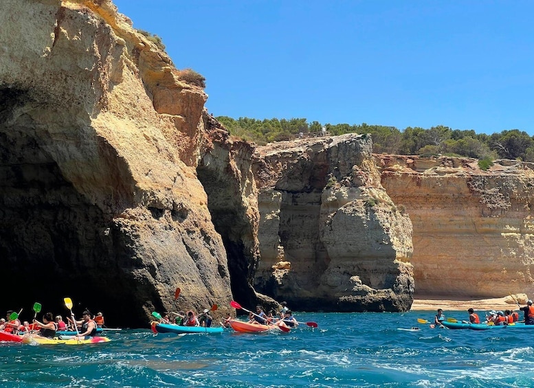 Picture 42 for Activity Benagil Boat & Algar Seco Cliffside Photo Walk with Transfer 3