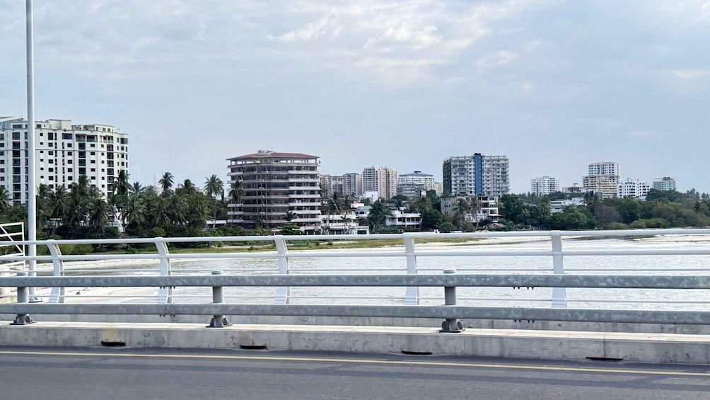 A coastal cityscape with a bridge and palm trees. 3