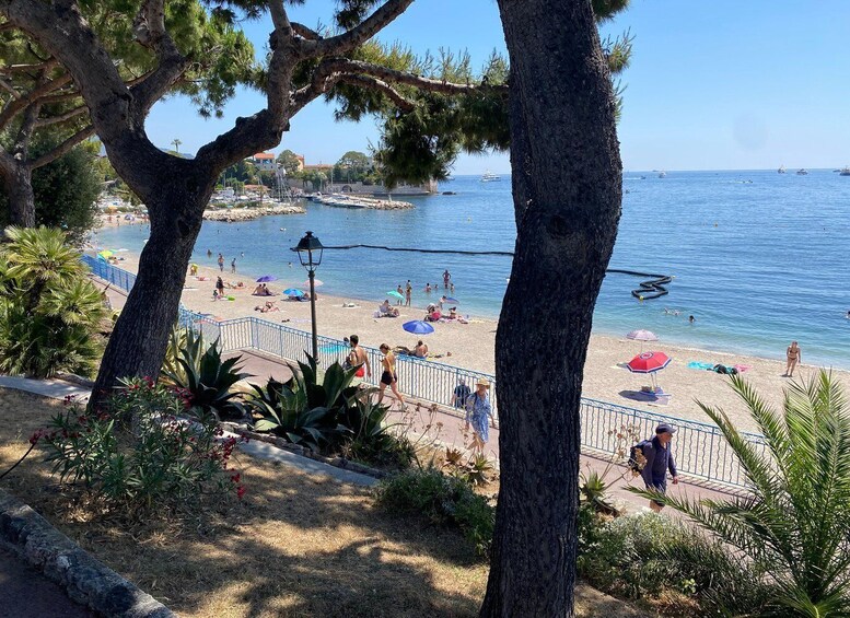 A beach with people sunbathing and swimming, surrounded by trees and a clear blue sea. 5