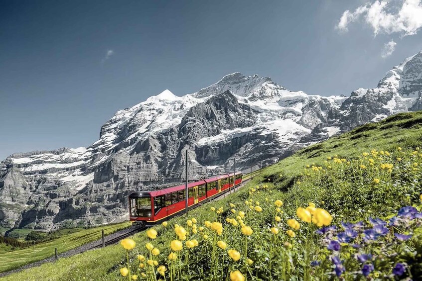 A red train on tracks, surrounded by mountains and fields of yellow and purple flowers. 2