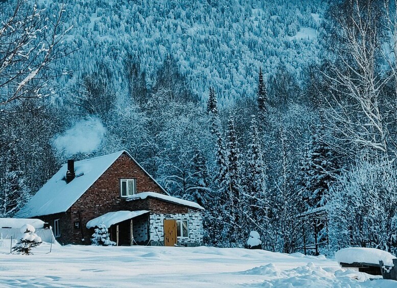 A snow-covered house with a chimney, surrounded by dense, snow-laden trees and a forested mountain in the background. 2